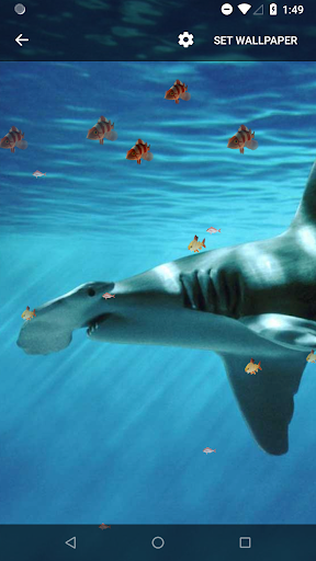 3D Shark Live Wallpaper - عکس برنامه موبایلی اندروید