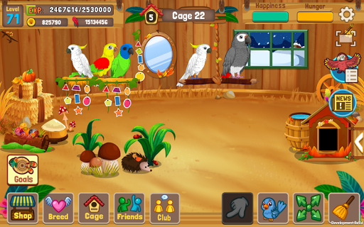 Bird Land: Pet Shop Bird Games - عکس بازی موبایلی اندروید