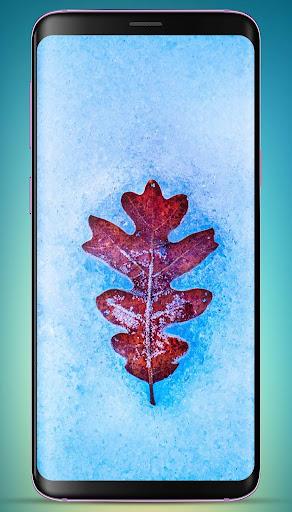 Frozen Wallpaper HD - عکس برنامه موبایلی اندروید
