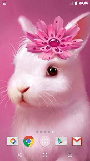 Cute Animals Live Wallpaper - عکس برنامه موبایلی اندروید