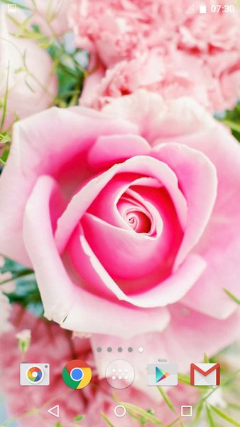 Roses - Image screenshot of android app