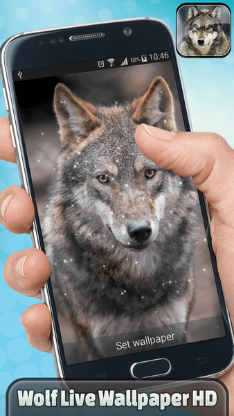 Wolf Live Wallpaper HD - عکس برنامه موبایلی اندروید