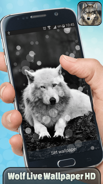 Wolf Live Wallpaper HD - Image screenshot of android app