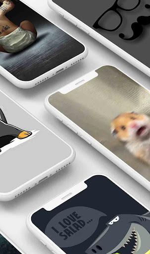 Funny Wallpaper - عکس برنامه موبایلی اندروید