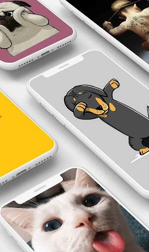 Funny Wallpaper - عکس برنامه موبایلی اندروید