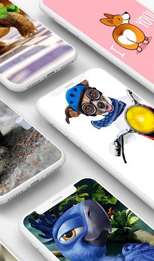 Funny Wallpaper - عکس برنامه موبایلی اندروید