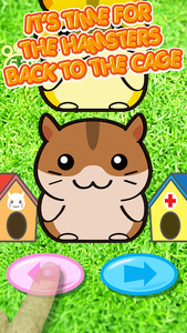 Little Smart Hamster Pets Life - My Friendly Pet for Android - Download