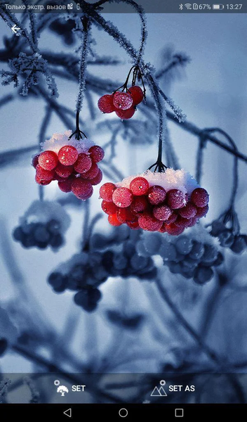 Beautiful Wallpapers - Image screenshot of android app