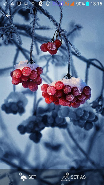 Beautiful Wallpapers - Image screenshot of android app