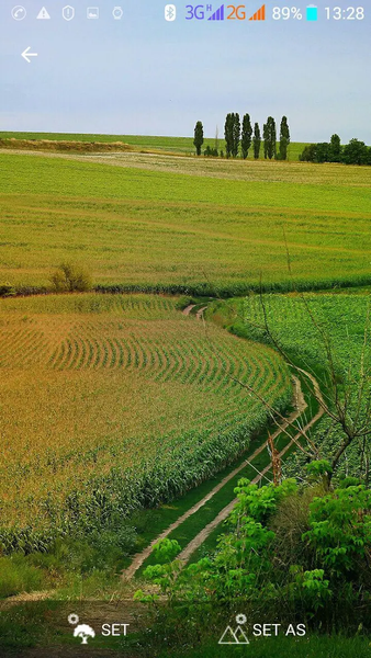 Beautiful Wallpapers - Image screenshot of android app