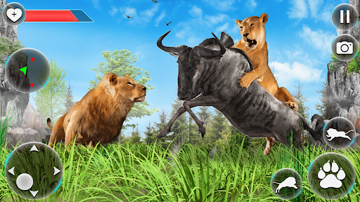 Wild Lion Animal Survival Game - Gameplay image of android game