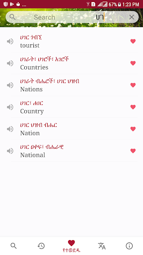 Amharic Dictionary - Translate - عکس برنامه موبایلی اندروید
