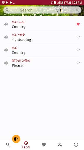 Amharic Dictionary - Translate - عکس برنامه موبایلی اندروید