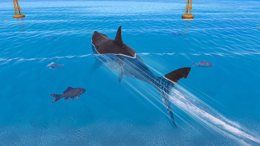Wild Shark: Real Shark Attack - عکس بازی موبایلی اندروید