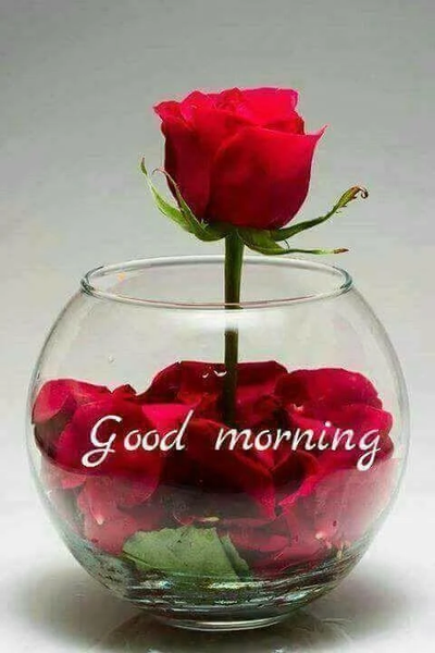 Good Morning Images 2024 - Image screenshot of android app