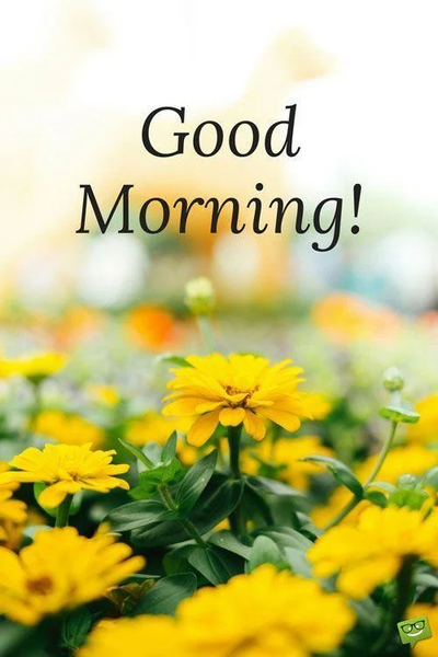 Good Morning Images 2024 - Image screenshot of android app