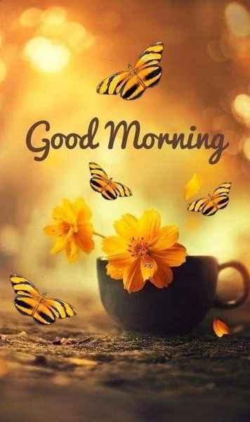 Good Morning Images 2024 - Image screenshot of android app