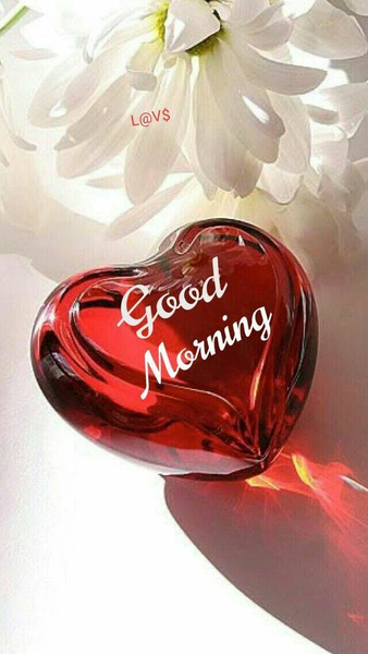 Good Morning Images 2024 - Image screenshot of android app