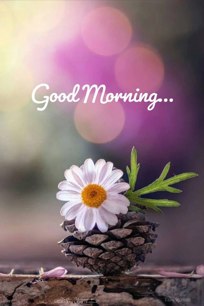 Good Morning Images ۲۰۲۴ - عکس برنامه موبایلی اندروید