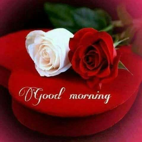 Good Morning Image Wishes 2024 - Image screenshot of android app