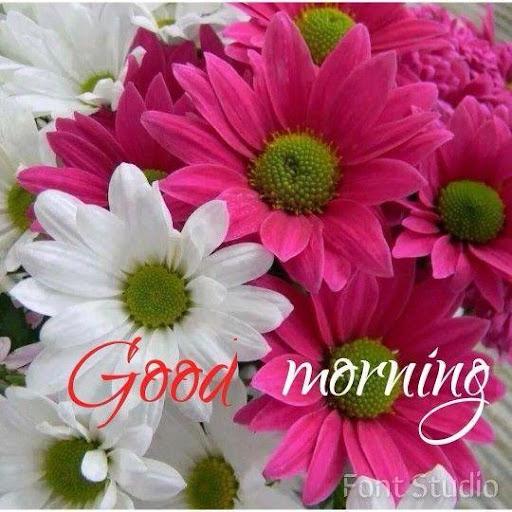 Good Morning Image Wishes 2024 - Image screenshot of android app