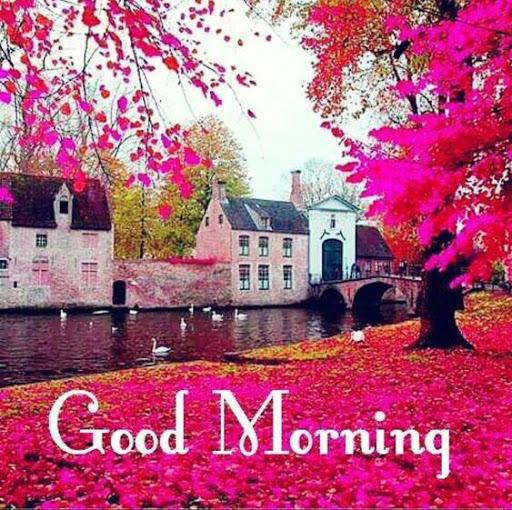 Good Morning Images APPS - Image screenshot of android app