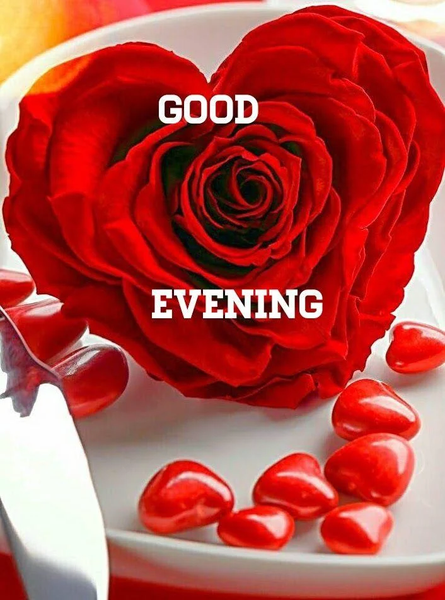 Good Morning Images App 2024 - Image screenshot of android app