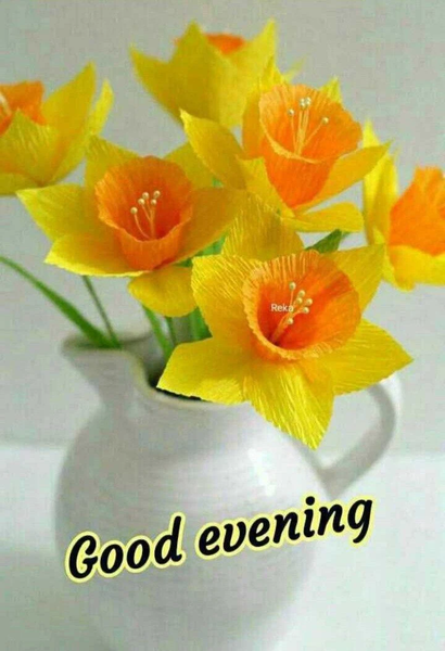 Good Morning Images App 2024 - Image screenshot of android app
