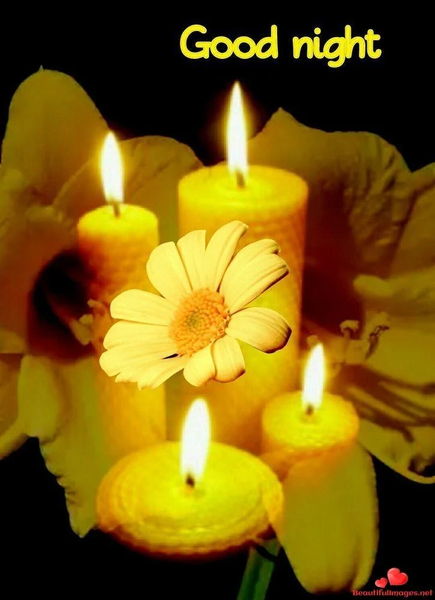 Good Night good evening images - Image screenshot of android app