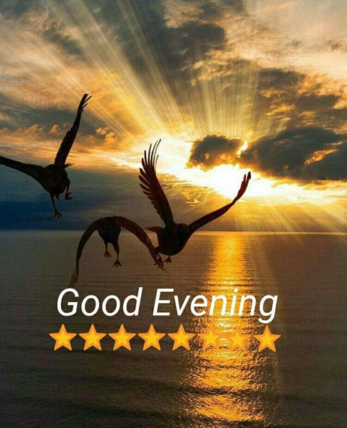 Good Night good evening images - عکس برنامه موبایلی اندروید