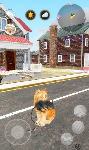 Talking Cat - Image screenshot of android app