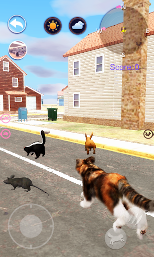 Talking Cat - Image screenshot of android app
