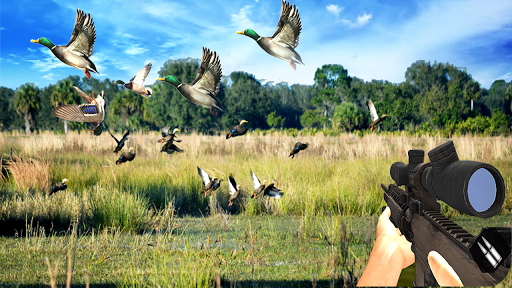 Duck Hunting Challenge - Gameplay image of android game