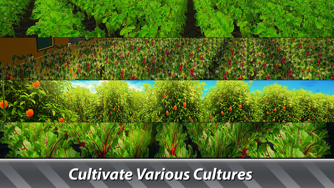 🚜 Farm Simulator: Hay Tycoon - عکس بازی موبایلی اندروید