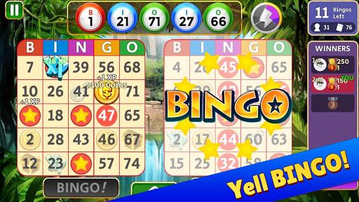 Bingo Star - عکس بازی موبایلی اندروید
