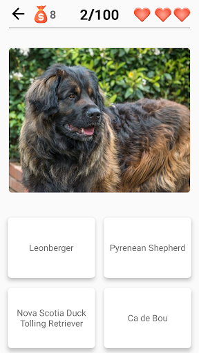 Dog Breeds - Quiz about dogs! - عکس بازی موبایلی اندروید