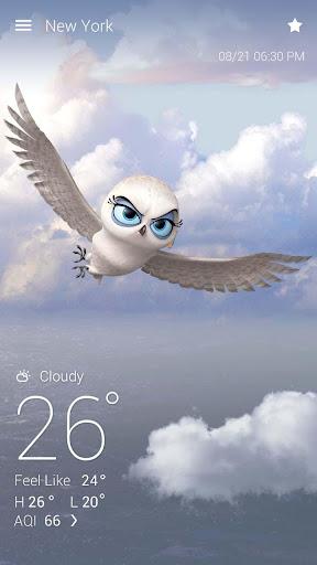 Penguins Of MG Weather Live BG - Image screenshot of android app