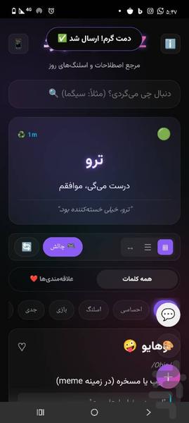 Gen Z Slang Dictionary - Image screenshot of android app