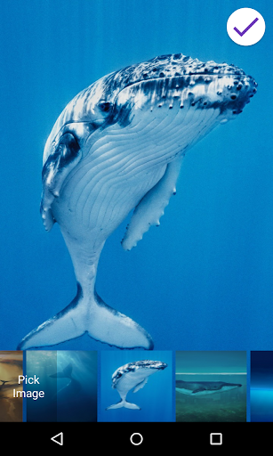 Blue Whale Lock Screen - Image screenshot of android app