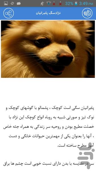 نژاد حیوانات خانگی - Image screenshot of android app