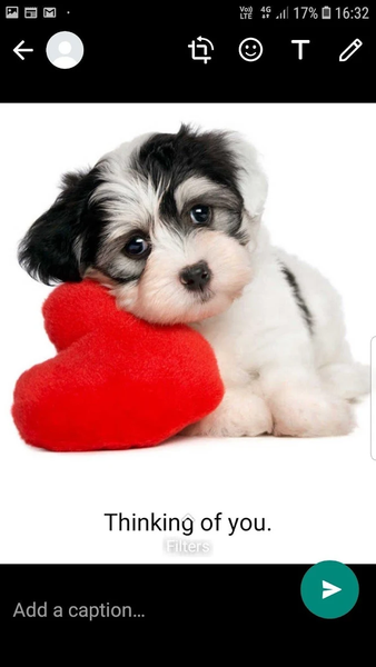 Stickers+ - Image screenshot of android app