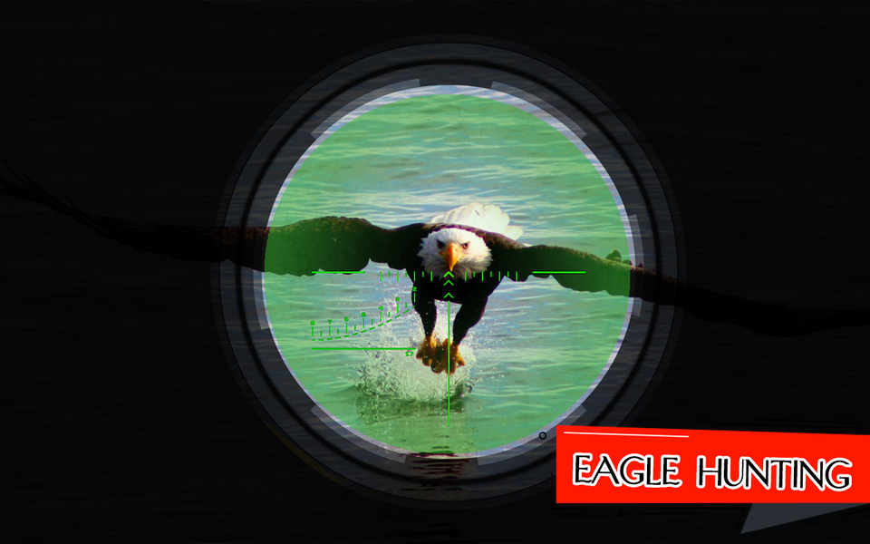Bird Hunting Master: Birds Gam - عکس بازی موبایلی اندروید