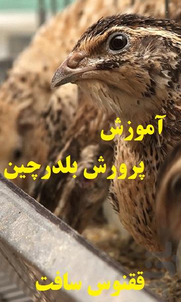 آموزش پرورش بلدرچین - عکس برنامه موبایلی اندروید