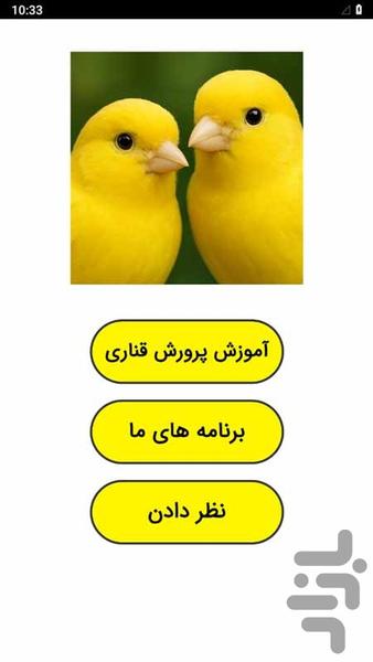 Canary breeding education - Image screenshot of android app