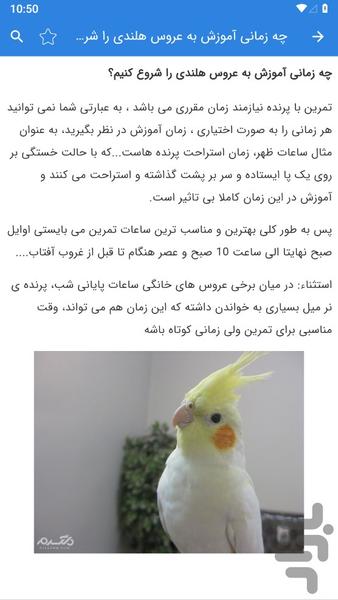 آموزش عروس هلندی - عکس برنامه موبایلی اندروید