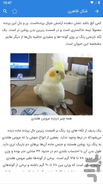 آموزش عروس هلندی - عکس برنامه موبایلی اندروید