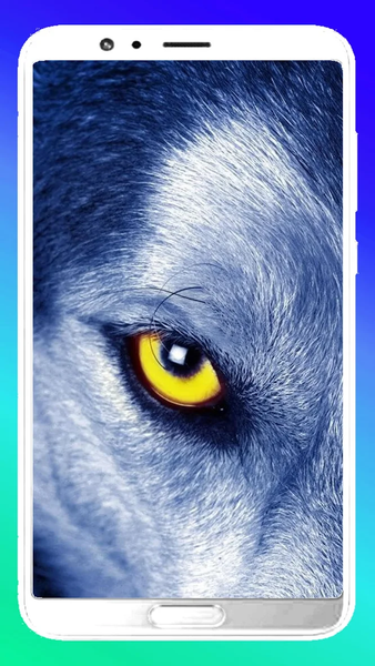 Wolf Wallpapers 4K - Image screenshot of android app