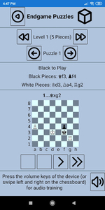 Blindfold Chess King