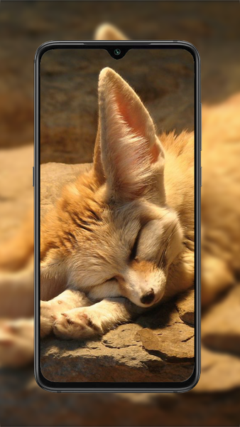 Fox Wallpaper - Image screenshot of android app