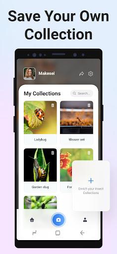 Picture Insect: Bug Identifier - Image screenshot of android app